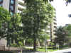 Building-2a.jpg (244015 bytes)